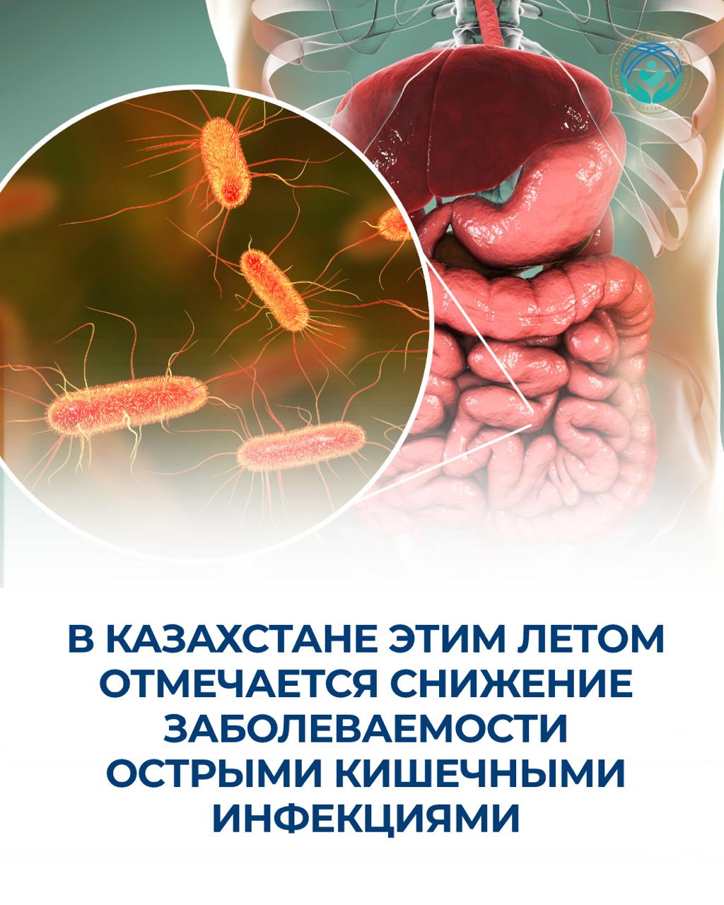 В КАЗАХСТАНЕ ЭТИМ ЛЕТОМ ОТМЕЧАЕТСЯ СНИЖЕНИЕ ЗАБОЛЕВАЕМОСТИ ОСТРЫМИ КИШЕЧНЫМИ ИНФЕКЦИЯМИ