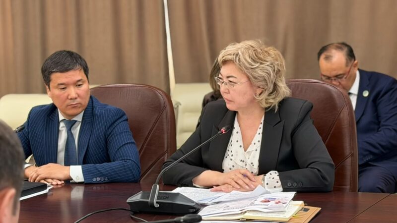 Казахстанцы с нарушением слуха смогут получать слуховые аппараты без инвалидности — Минздрав