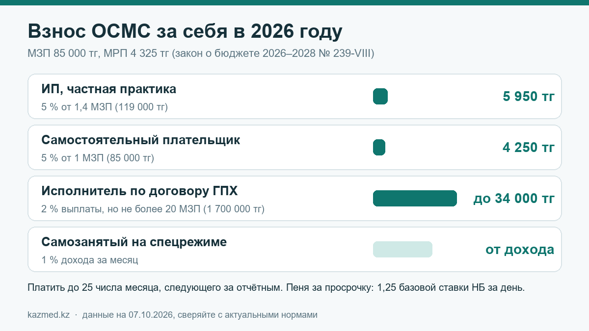 Сколько платит ОСМС за себя ИП, самостоятельный плательщик, исполнитель по ГПХ и самозанятый в 2026 году